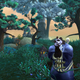 Illustration for article titled The First Fluffy Screens of World of Warcraft's Mists of Pandaria